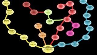 Essential EAFM animated timeline of courses by IMA International