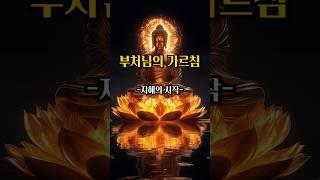 부처님의 가르침 - 지혜의 시작