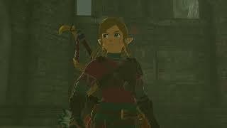 YO ZELDA, TF I DO TO YOU