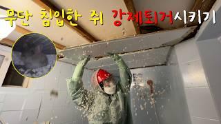 EP.38 무단침입한 쥐퇴출 대작전. 세입쥐의 집 철거하기!! CCTV 속 충격적인 장면 포착 | 화장실 천장 철거 | 셀프인테리어 | 낡은주택고쳐살기