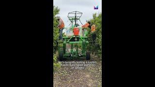 California farmers are transforming agriculture with new technology