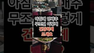 아침에 양배추 무조건 이렇게 건강하게 드세요 #건강 #건강정보