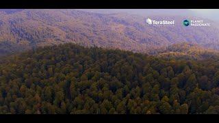 TeraSteel - Protejarea biodiversității în Maramureș