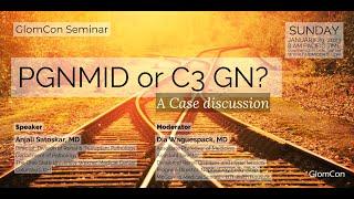 PGNMID or C3 GN? - Case discussion