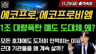 [2차전지] 에코프로,에코프로비엠 11.29(금)충격속보 -1조 대량 폭탄매도 도대체 왜??? 모든 호재가 도저히 안먹히는 이유? 근데 기관들은 왜 계속 살까?