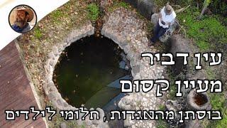 עין דביר - מעיין קסום ולא כל כך מוכר. מים צלולים כל השנה, מדהים לילדים, בוסתן פירות . #טבע  #טיול