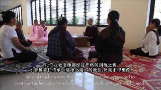 上座部佛教《帕奥禪師與止觀禪修》（中文字幕）
