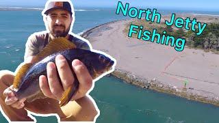 Jetty fishing Day 2 | Kelp Greenling in different patterns