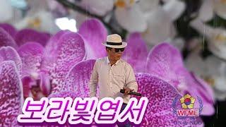 보라빛엽서.HAN .SCPOTV