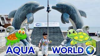 Aqua World Ibaraki Aquarium | Vlog #29 | Part 2 | Sacho Terazaki