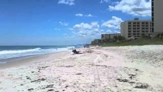1949 Jackson Ave Melbourne FL House for SALE!