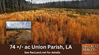 74 Acres Pine Timberland for Sale in Union Parish, LA