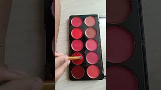 Swiss Beauty Lip Palette #lipstick #lipcolour #swissbeauty #lakme #explore #youtubeshorts #shorts