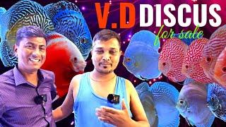 DISCUS FISH FOR SALE | DISCUS FISH FOR SALE IN MUMBAI