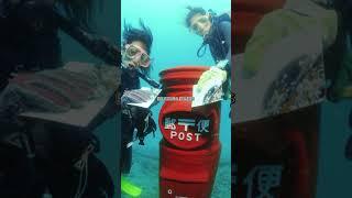 Underwater Mailbox Facts You Won’t Believe! 