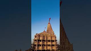 dwarkadhish status | Jay dwarkadhish status new 2024 | #shorts #dwarkadhishstatus