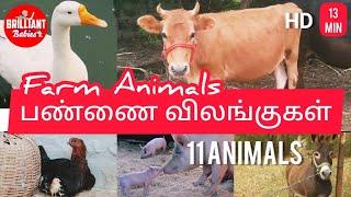 பண்ணை விலங்குகள் | Learn Farm Animals | Names & Sounds | Tamil, English