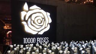 The 10,000 Roses