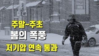 봄의 문턱에서 주말부터 봄의 폭풍이 다가옵니다