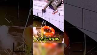 물에 빠진 강아지를 구해주는 아름다운 사람들 ️