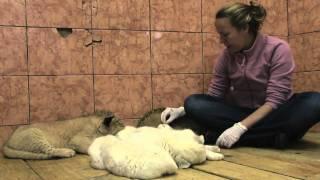 Belgrade Zoo 2011 Episode 8 Part 3