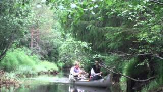 Canoe Tours on Svartalven - www.naturetravels.co.uk