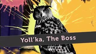 Comandante Yoll & Co. Eagle owl Yoll and the company.