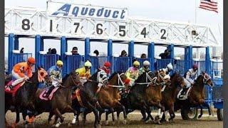 Live Racing From Aqueduct With Picks