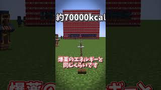 【検証】それ本当に松明...？【マイクラ】【ゆっくり実況】