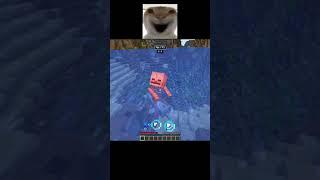 Minecraft New Mob 