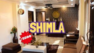 Best Homestay in Shimla Near Mall Road || Private Parking and Kitchen