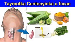 Tayrootka Cuntooyinka u fiican inaa u isticmaasho iyo kuwa aan laguu ogoleen hadii aa qabto nooca...