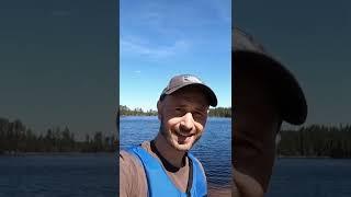 5-day Paddle Adventure on the Black River in Sweden #short #canoeing #paddler #bushcraft #wild