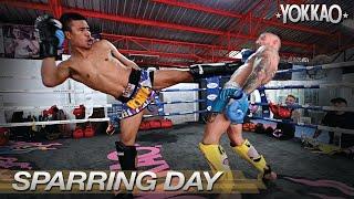 Liam Harrison clashes with Superlek | Pro Muay Thai Sparring | YOKKAO Training Center