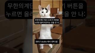 NFLY 스튜디오 에서 연락 옴 (출처는 깨꼬님 입니다.) #NFLY #연락