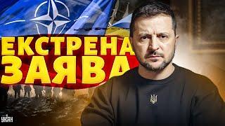 Екстрена заява Зеленського! Несподівані гості у Києві: фінал війни та вступ до НАТО. Деталі зустрічі