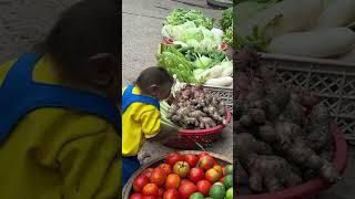 cute curtis monkey goes to the market to buy carrots