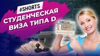 Какие документы нужны для обучения в Европе? #Shorts