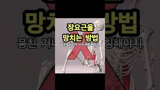 하...장요근 좀..제발.. 하 #스트레칭