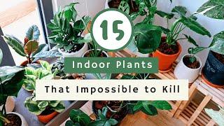 15 Best Indoor Plants That Are Almost Impossible to Kill 