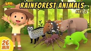 Rainforest Animals Minisode Compilation (Part 2/2) - Leo the Wildlife Ranger | Animation | For Kids