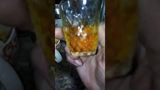 С днем отечества, товарищ страшный прапорщик. Жуть смотреть до конца!!!