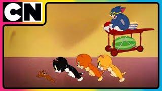 Tom and Jerry | Dual Purr Power! | Compilation | 90s cartoons | Cartoon for kids | @cnindia