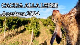 CACCIA ALLA LEPRE | Apertura 2024