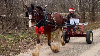 Christmas Caroling CATASTROPHE! - Oliver’s New Jingle Bells!