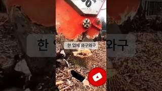 뿌리까지 삼키는 괴물