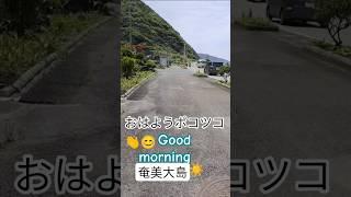 おはよう奄美大島️(・∀・)今日もよろちく〜