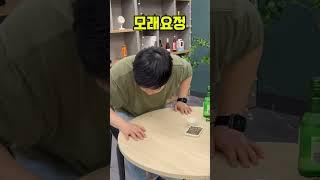 고양이 모래의 활용성