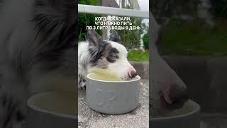 Ты пей, пей, там ещё много осталось :)