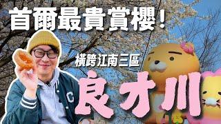 羨慕嫉妒的韓國生活首爾最貴賞櫻橫跨江南三區「良才川」【韓國賞櫻】| 胃公子 | 胃酸人生活